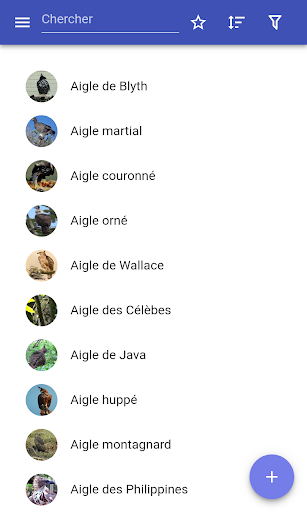 Aperçu de l'application