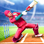 Cricket Bat Ball Game 3D 2024