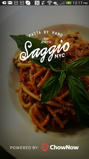 Android application Saggio NYC screenshort