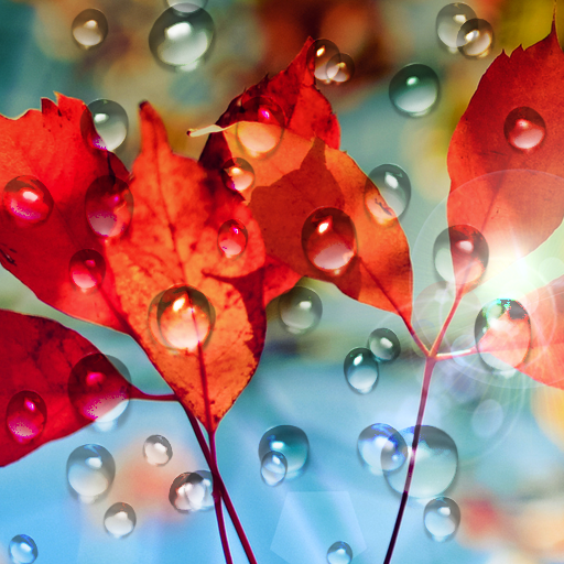 Rains Live Wallpaper logo