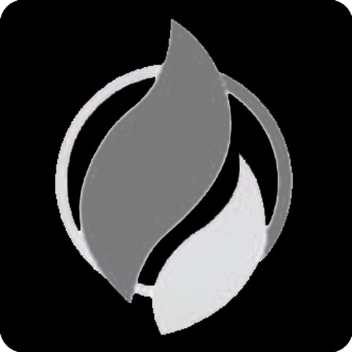 Fort Gás & Água - Charqueada logo