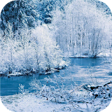 Winter forest. Live wallpaper icon