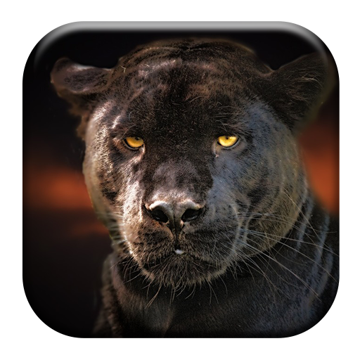 Black Panther Sounds logo