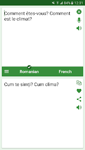 Romanian – French Translator 2