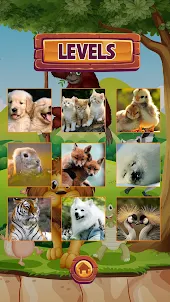 Animal Jigsaw Puzzle For Kids