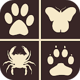 Picture Quiz - Animals icon