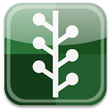 Psoriasis Natural Cure icon