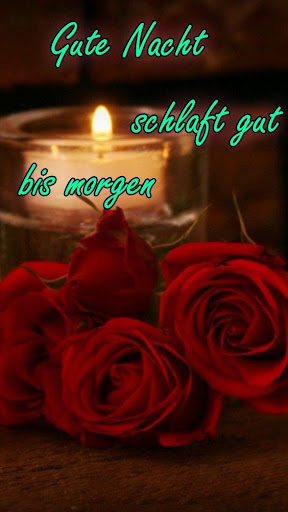 Gute Nacht Blumen GIF