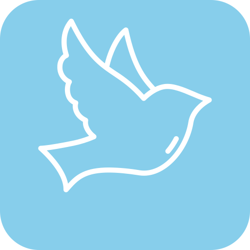 Small Wings VPN logo