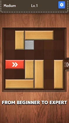 Block Escape Puzzle - Screenshot 2