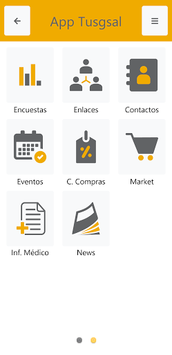 TusgsalApp Screen 3
