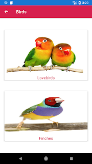 My Pets - Care & Guide