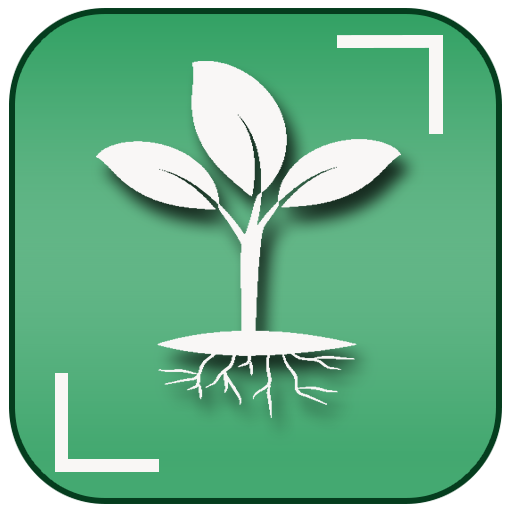 Plants story. Plant Care reminder приложение. Plantnet. Plantnet Plant identification. Identify Plants.