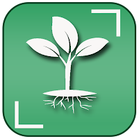 Free Plant Identifier  Plant Finder Camera