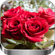 Top 47 Entertainment Apps Like Flores y Rosas Rojas Gratis - Best Alternatives