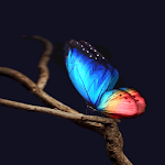 Cover Image of ดาวน์โหลด Blue Red Butterfly LWP  APK