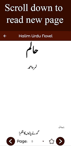 Halim Urdu Novel screenshot 2
