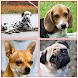 Dog Breeds Name With Photo