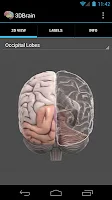 3D Brain screenshot