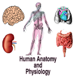 Cover Image of ดาวน์โหลด Human Anatomy and Physiology  APK