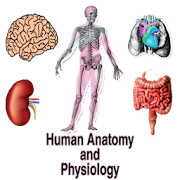  Human Anatomy and Physiology 