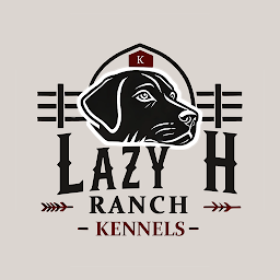 Lazy H Ranch Kennels: Download & Review
