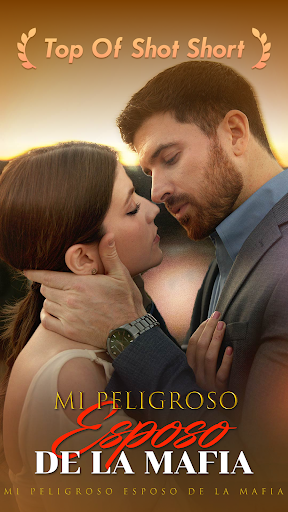 Vista previa de la aplicación