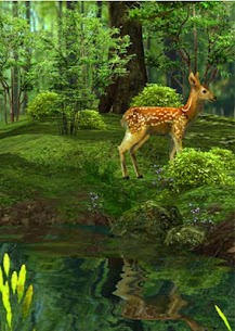 Free 3D Nature Deer Live Wallpaper 2022 4