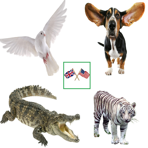 English Animals Vocabulary Scarica su Windows