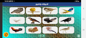 Animals and birds screenshot