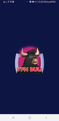 VPN ANONYMOUS BULL Screen 2