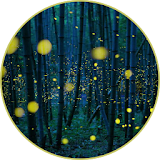 Night Sounds - Nature sounds icon