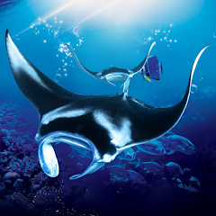 The Manta rays Mod apk versão mais recente download gratuito