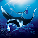 The Manta rays Download on Windows