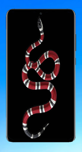 Snake Wallpaper 4K