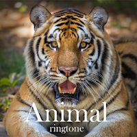 Animal Ringtones-Best Animal Ringtones