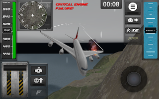 Airplane Emergency Landing