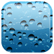 Rain Drop Live Wallpaper Download on Windows