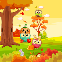 Autumn Owl Couples - Wallpaper