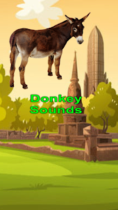 Donkey Simulator Sound Game