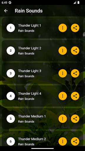 Rain Sounds Screen 2