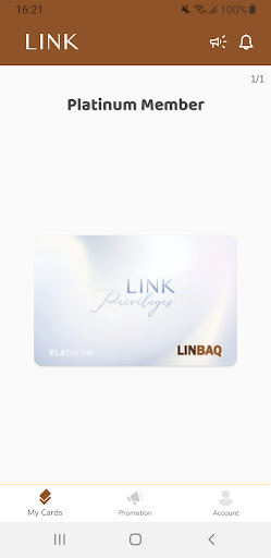 LINK Privileges Screen 3