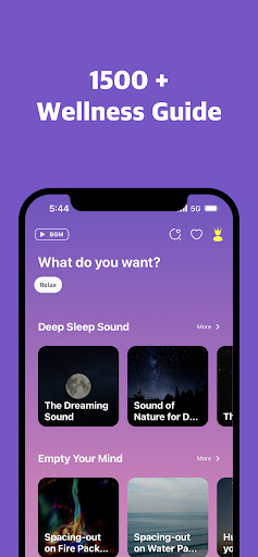 Lucid Island - Mental Wellness Screen 2