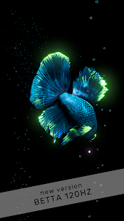 Betta Fish لقطة شاشة