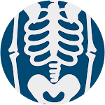 Cover Image of Download Anatomy notes:Abdomen & Pelvis  APK