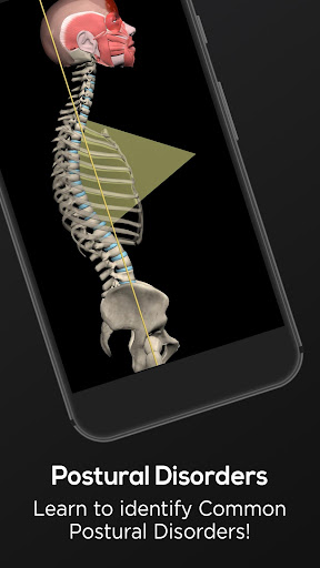 Screenshot of Posture by Muscle & Motion