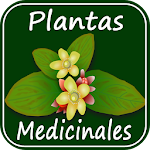 Cover Image of Descargar Medicinal Plants and Their Uses 1.05 APK