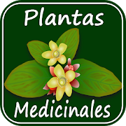  Medicinal Plants and Their Uses 