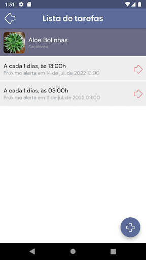 Suculentas Screen 3