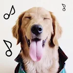 Cover Image of Скачать Dogify: Sounds Dogs Love  APK